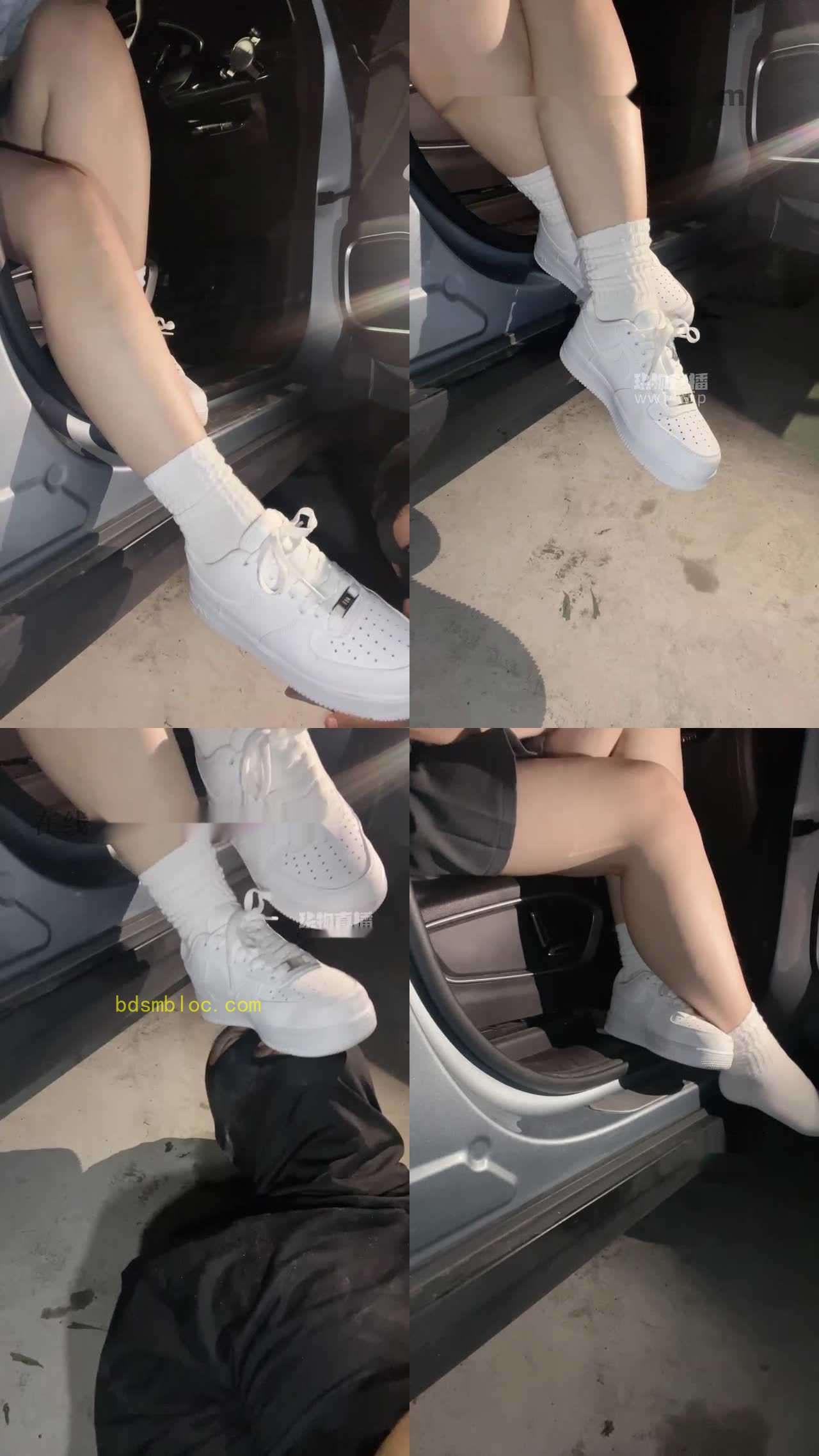 【李园长s】户外训狗，不爽翻不散场