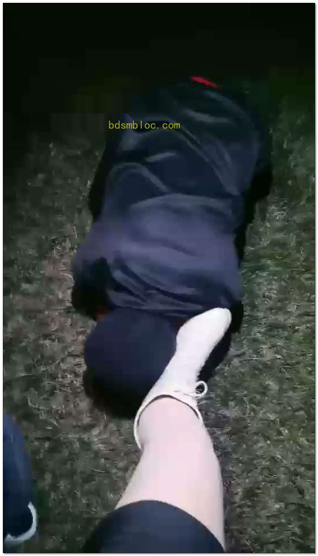 【语晴】狗畜牲千里跪求舔裸足