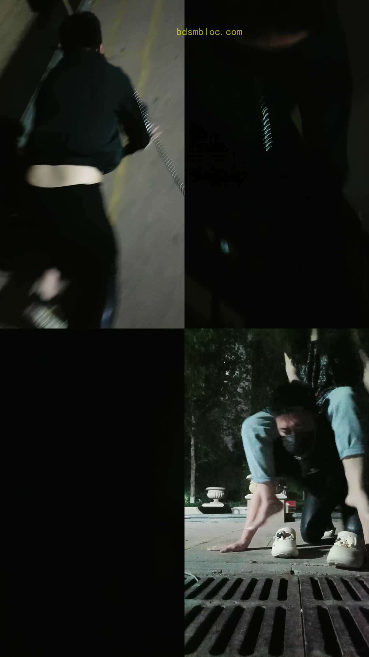 【珍惜女王】楼下遛狗