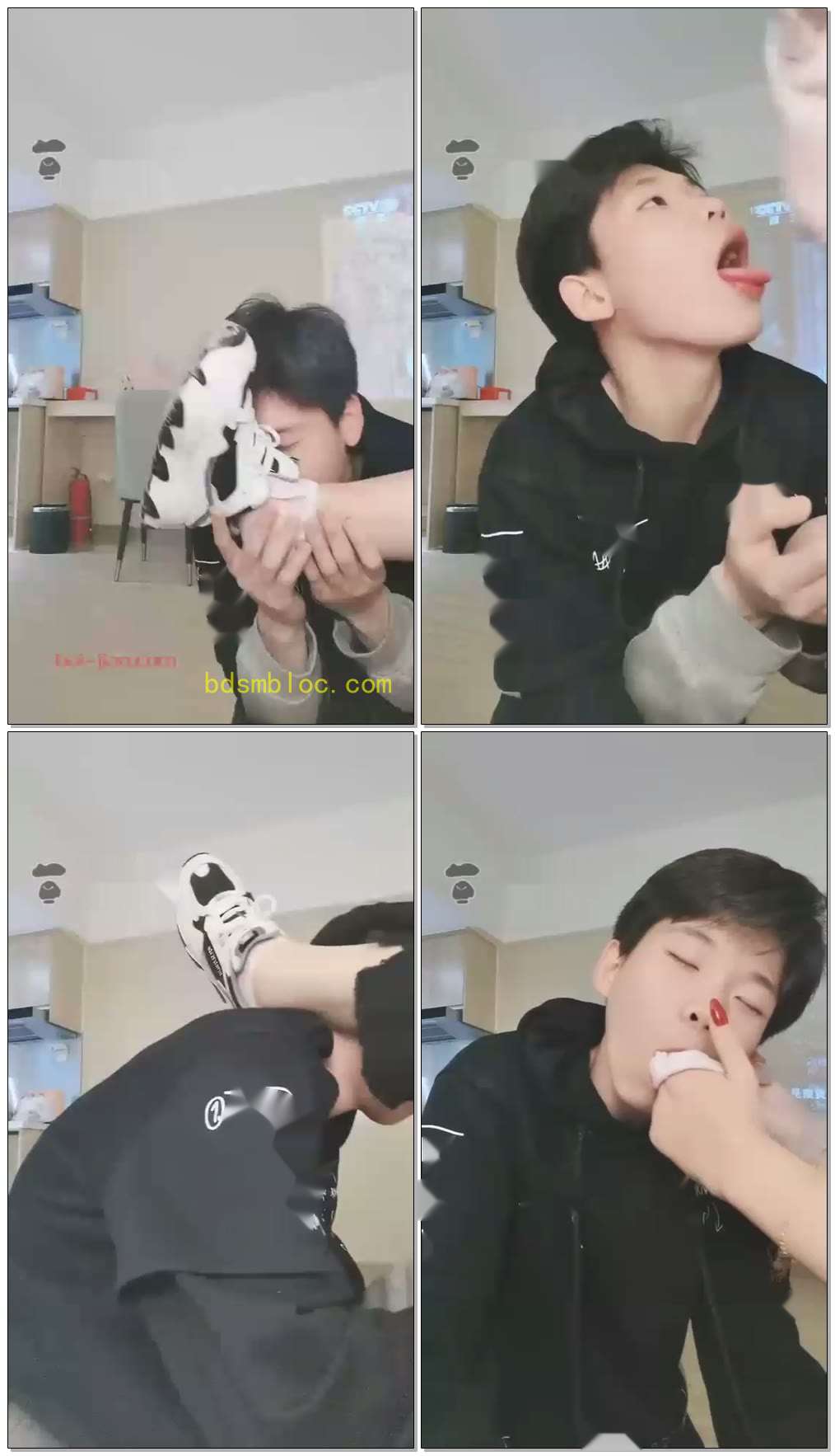 【一只大喵】精神小狗闻香棉袜