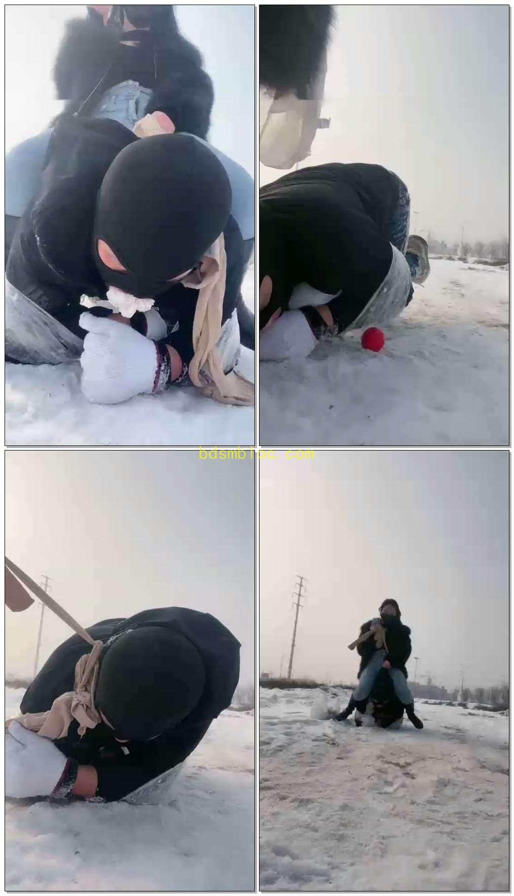 【思诺S】雪地的一场遛狗之旅