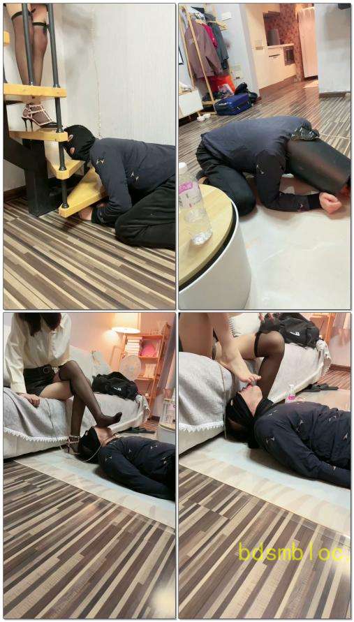 【Da猫】暴力首调文文公