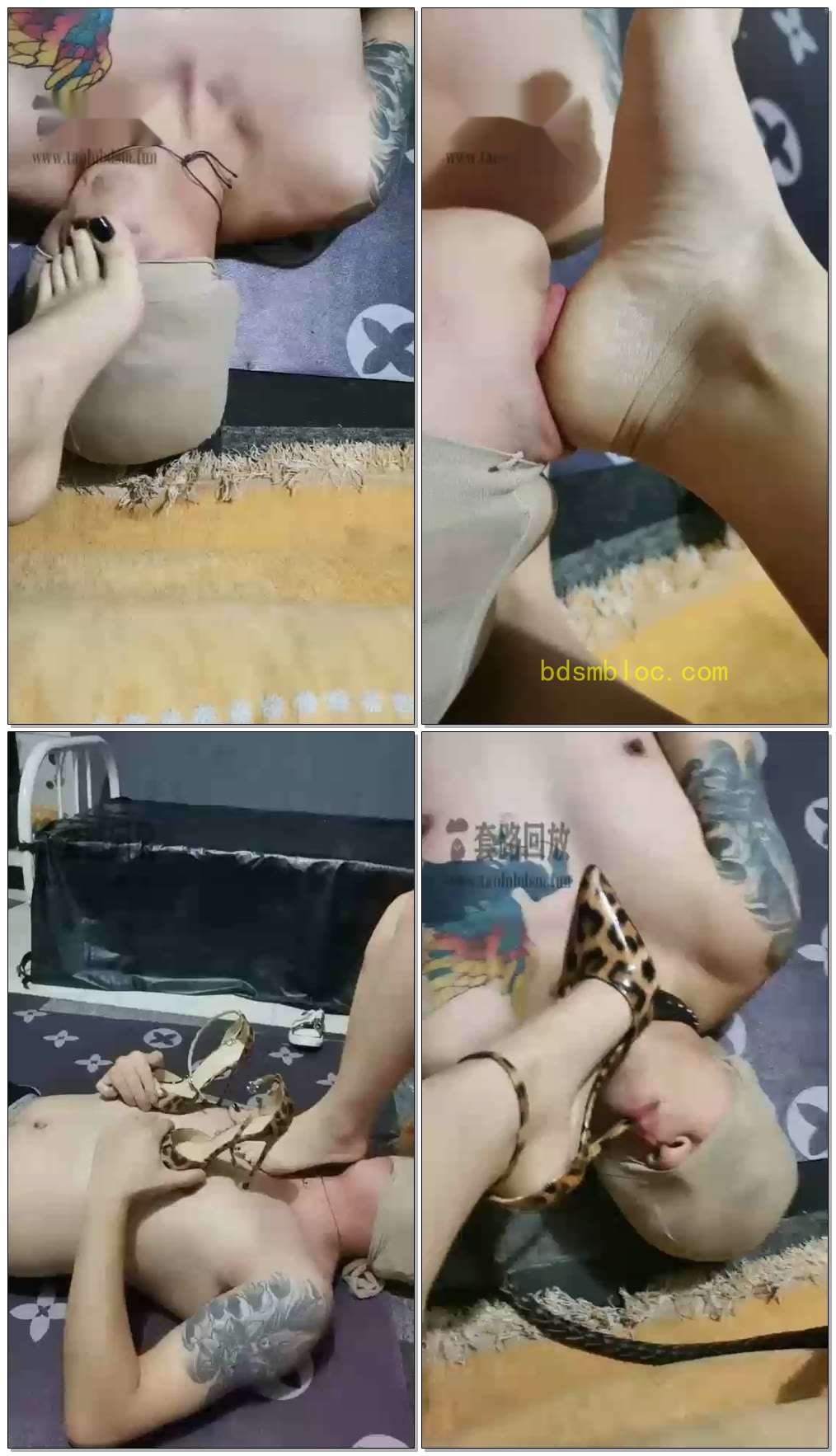 【北京宠儿s】惩罚小狗