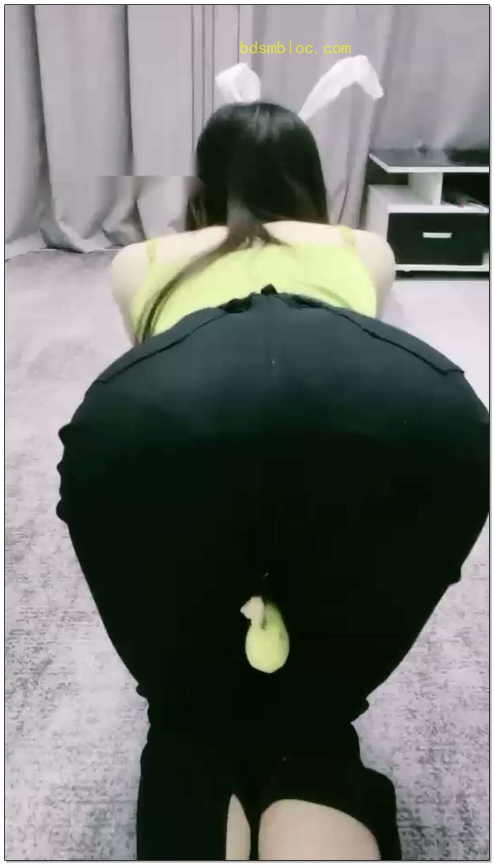 【清见S】两只发梢的女木（未删减）（一）