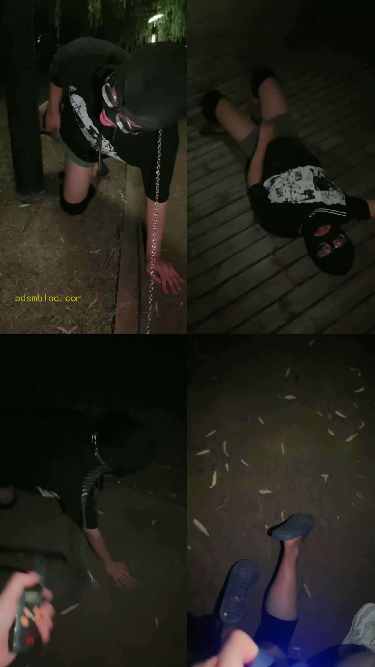【语阳】户外遛狗驯化人形犬/电击