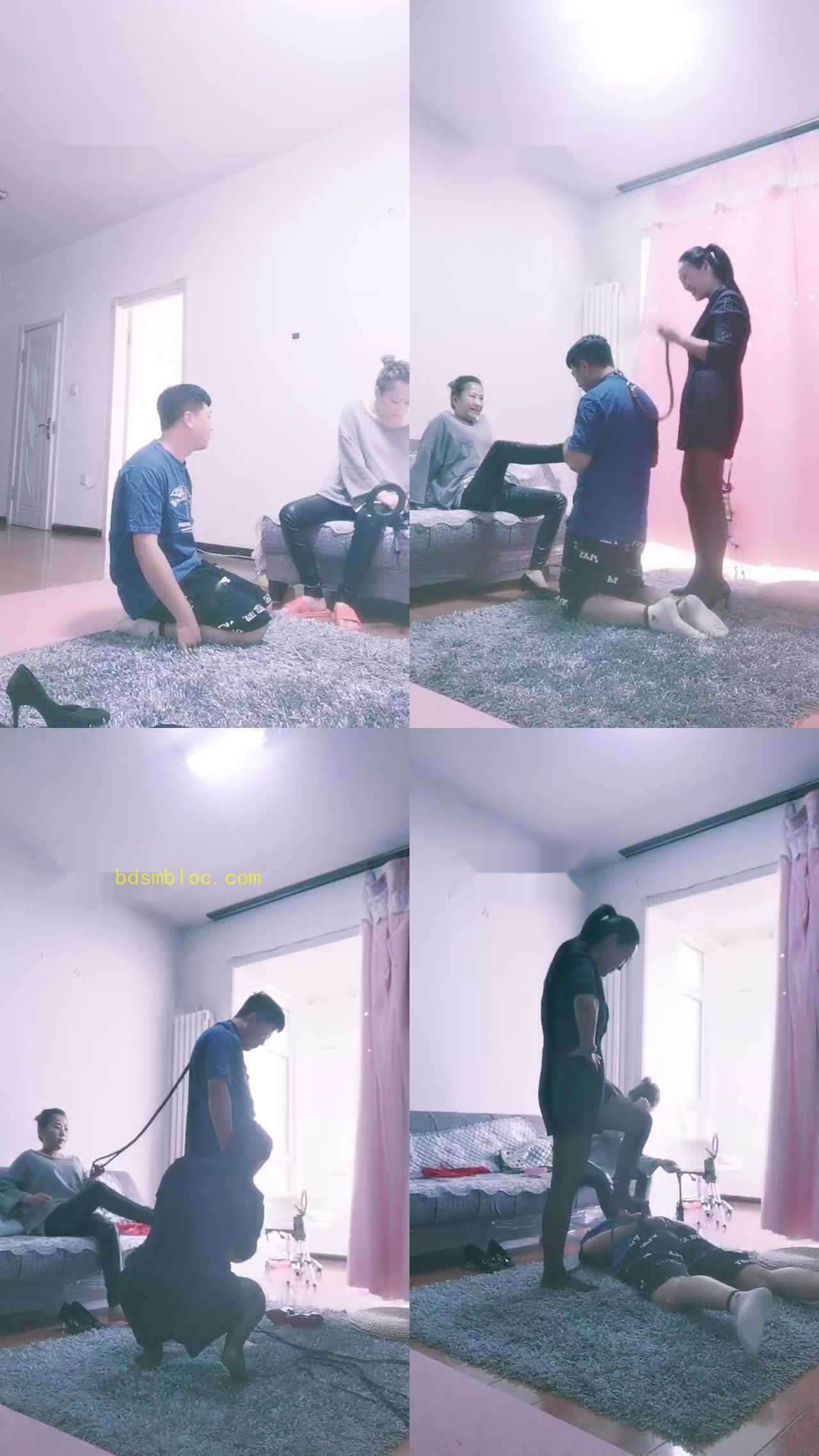 【紫晗】收拾废物狗子