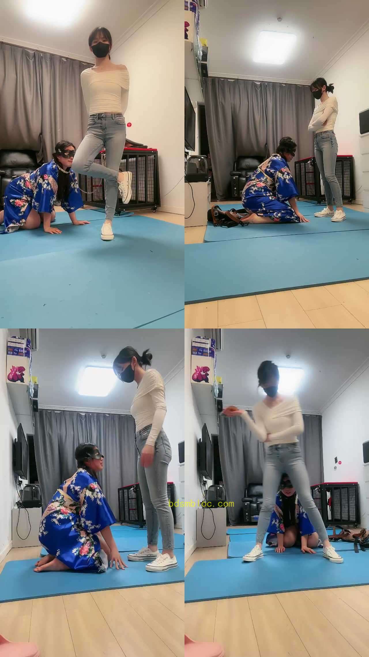 【暴主s】母畜的哀鸣与幸福