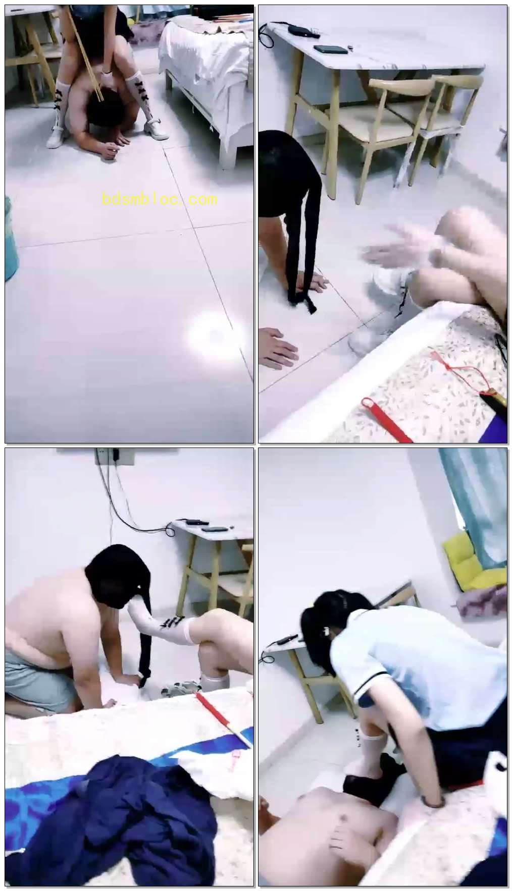 【美酱殿下】教育首次上课的狗狗