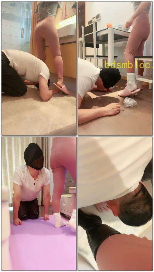 【王妃】起床随意TJ狗