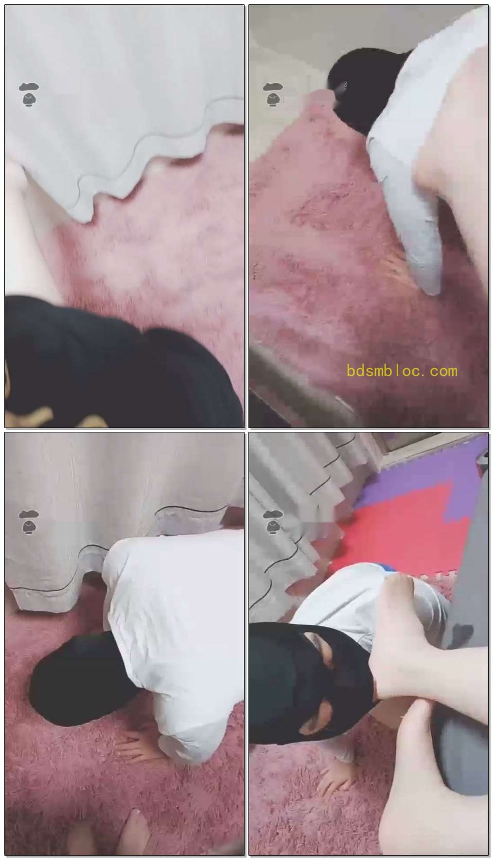 【夏琳】钻跨,鞭打废物狗