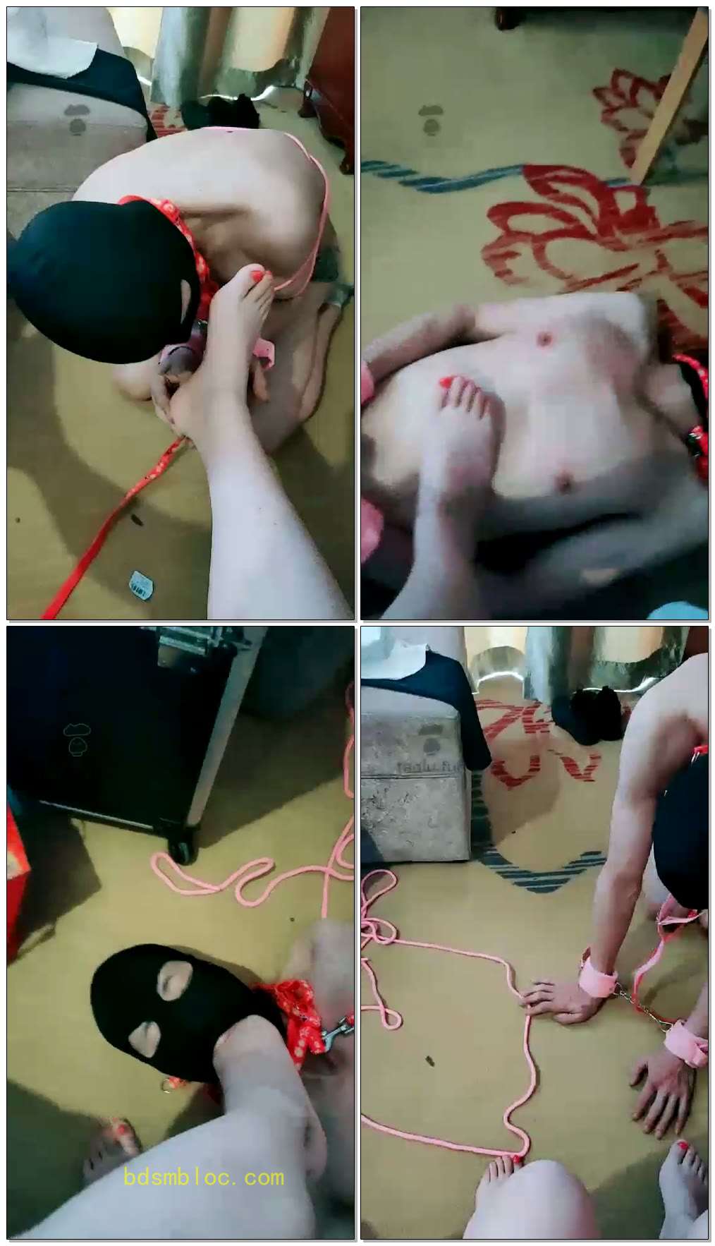 【海燕S】暴打小草狗