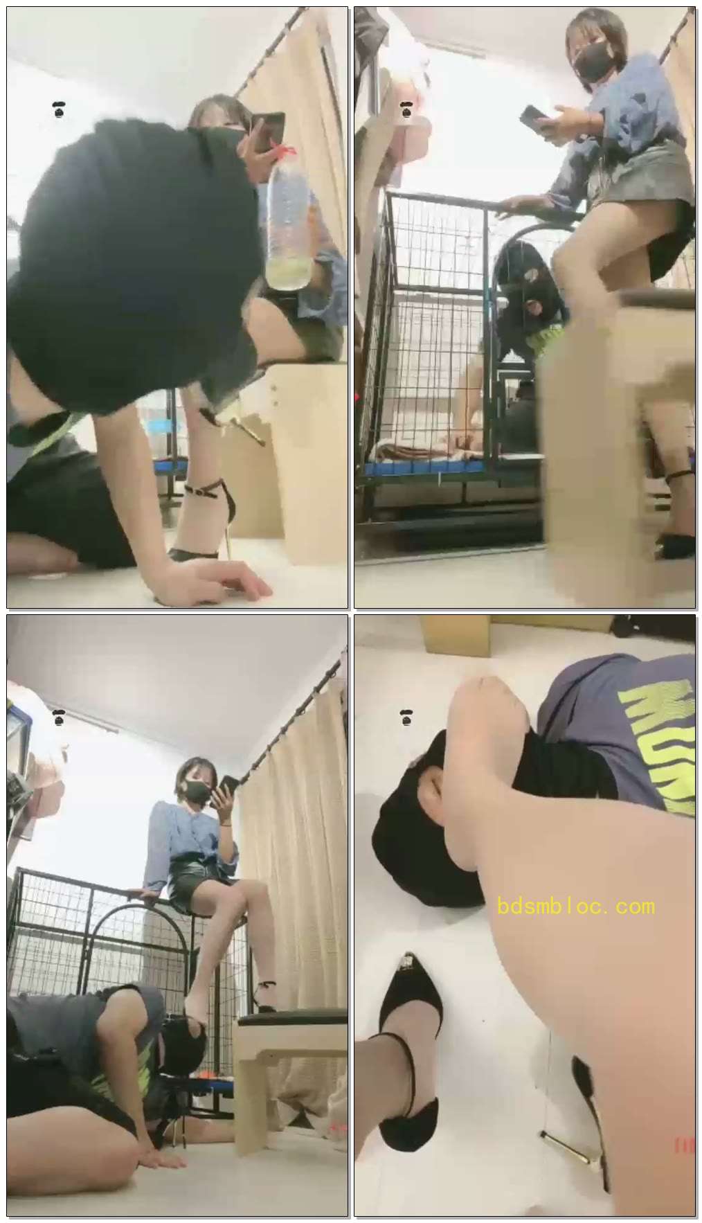 【美离子】又养一条圈养狗
