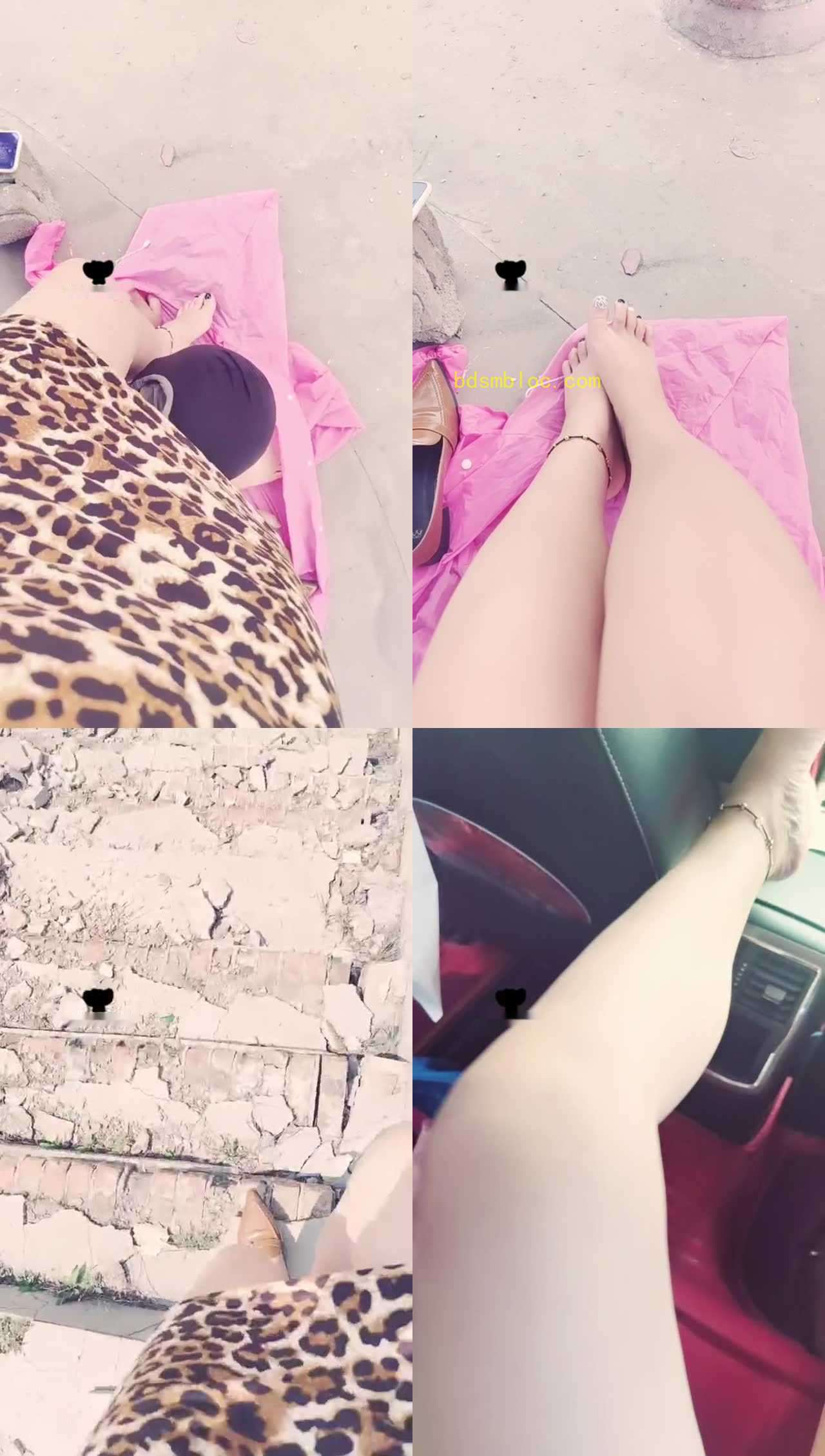 【李老师】户外骑狗背胯下辱