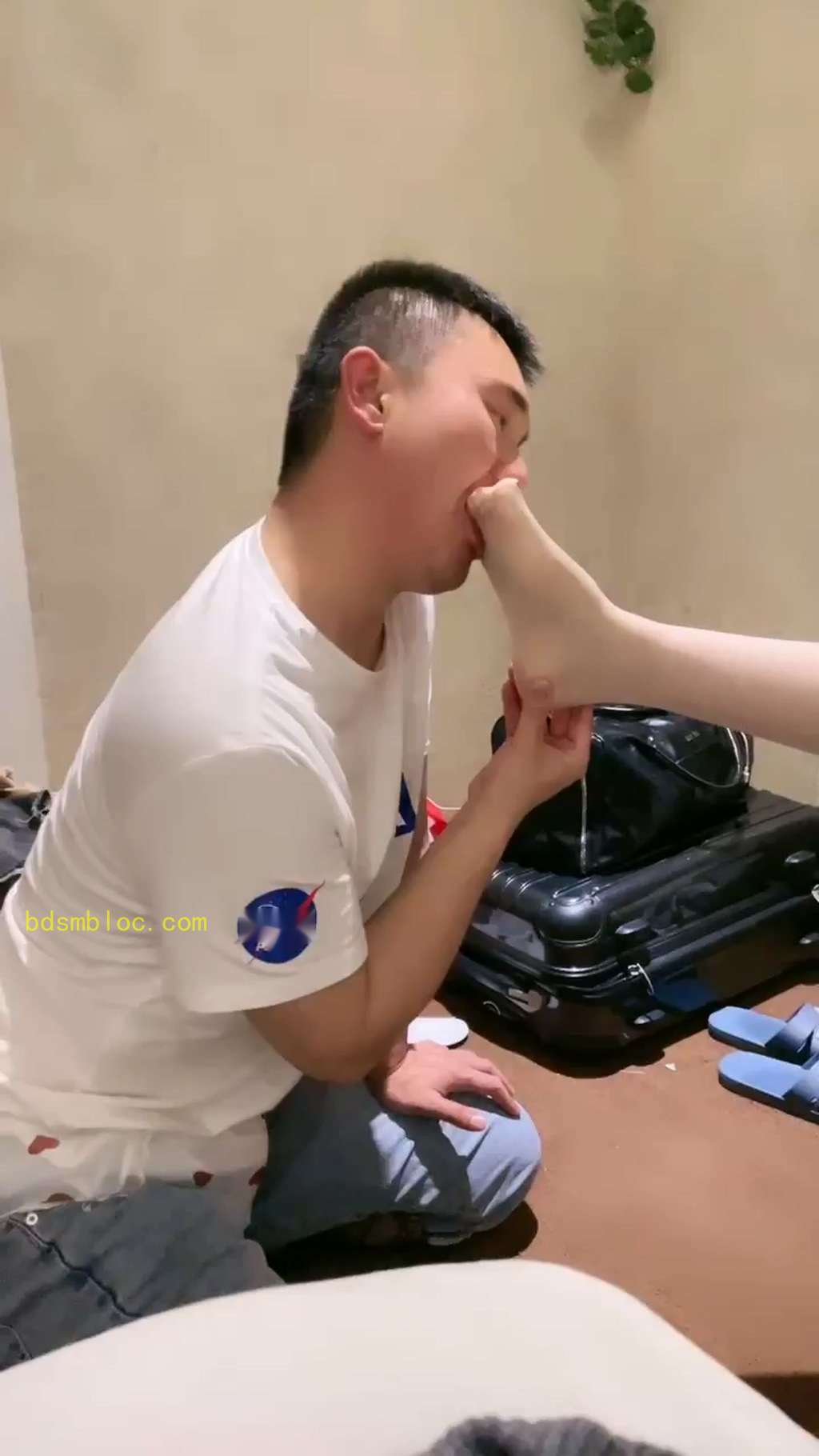 【CC】戏耍CD奴