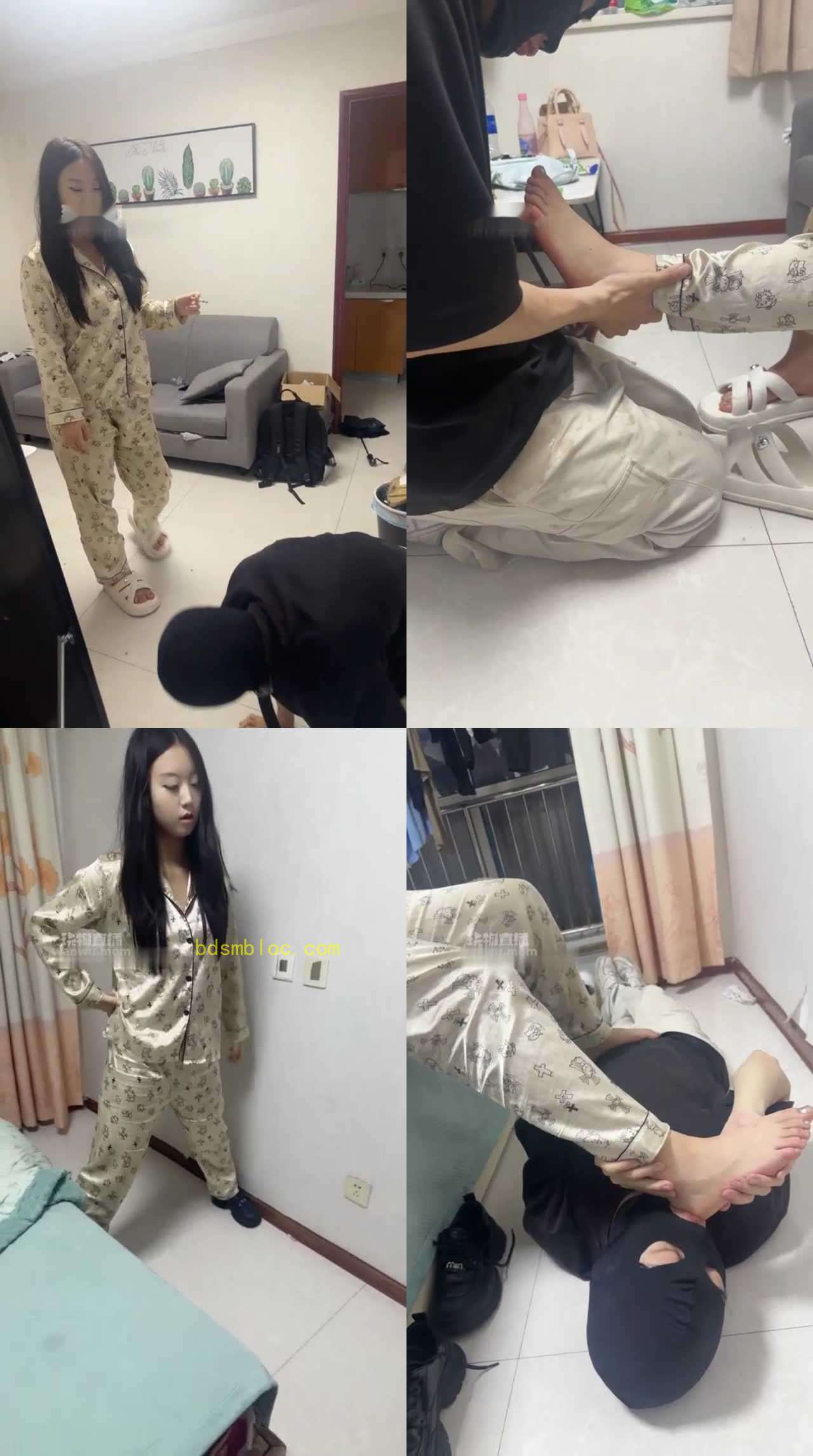【小楠s】新人生活化调狗