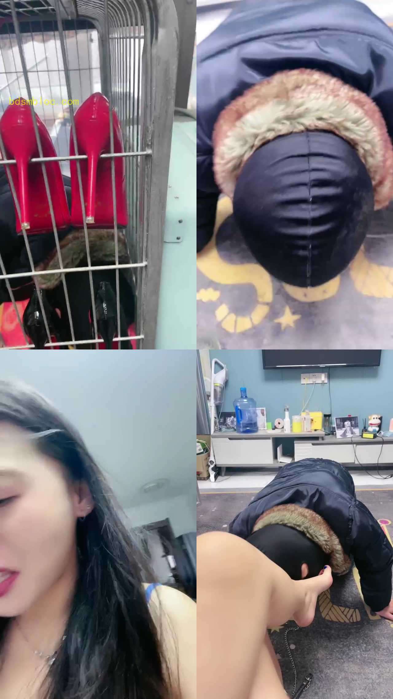 【伊兮夫妻】清晨圈养狗跪拜