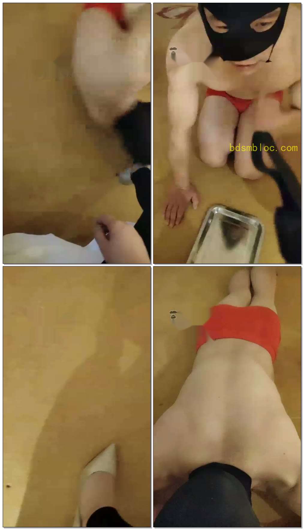 【素颜主】下贱货