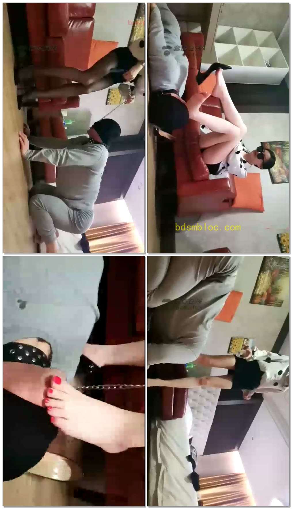 【苏曼】苏老师训练狗深喉舔脚