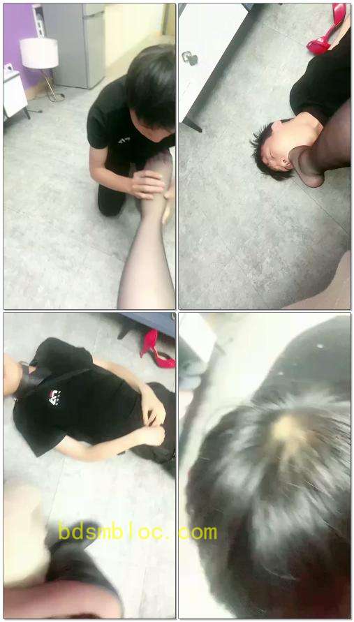 【范爷大大】玩小白狗
