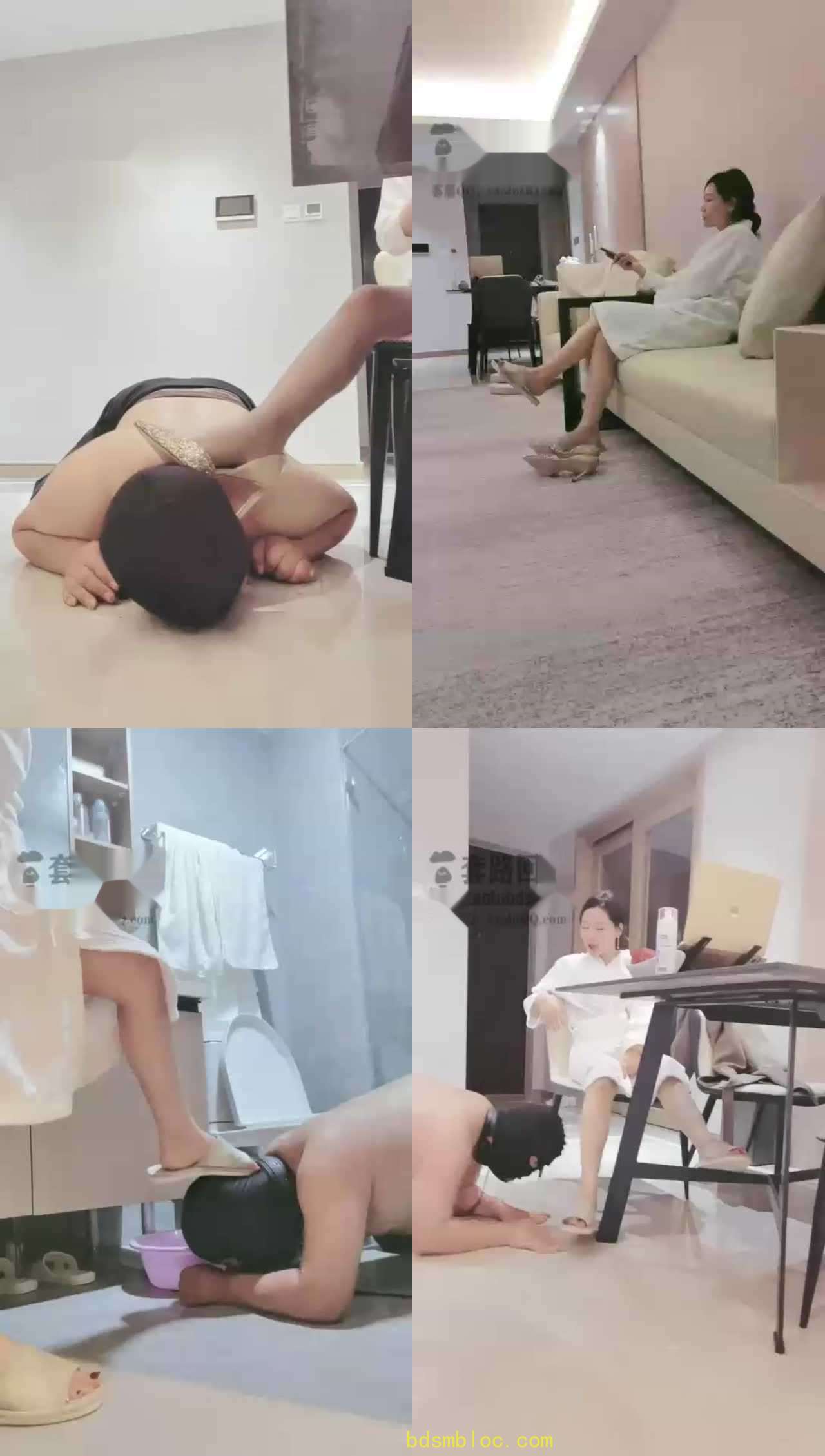 【药神S】家奴开发