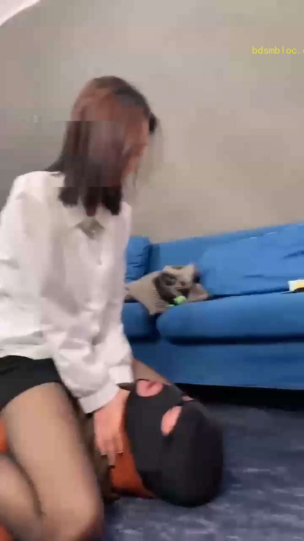 【术术】随便玩玩狗奴