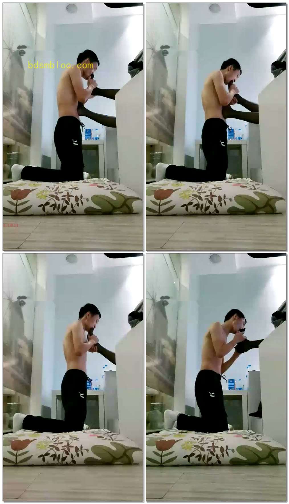 【玩物M】微微小猪黑丝诱惑玩物
