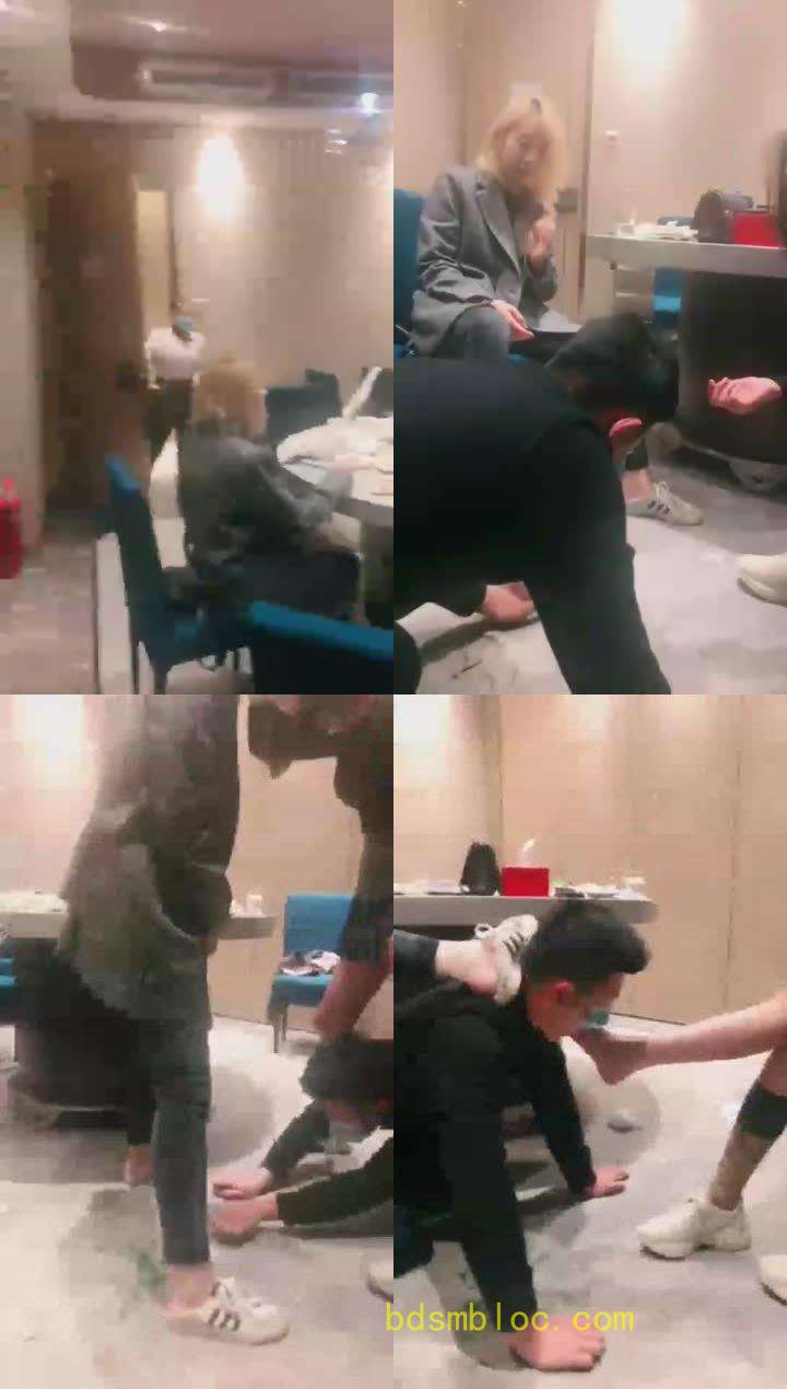 【梦樱&amp;维依y】TJ：维依梦樱双S聚餐玩虐不要脸的狗东西